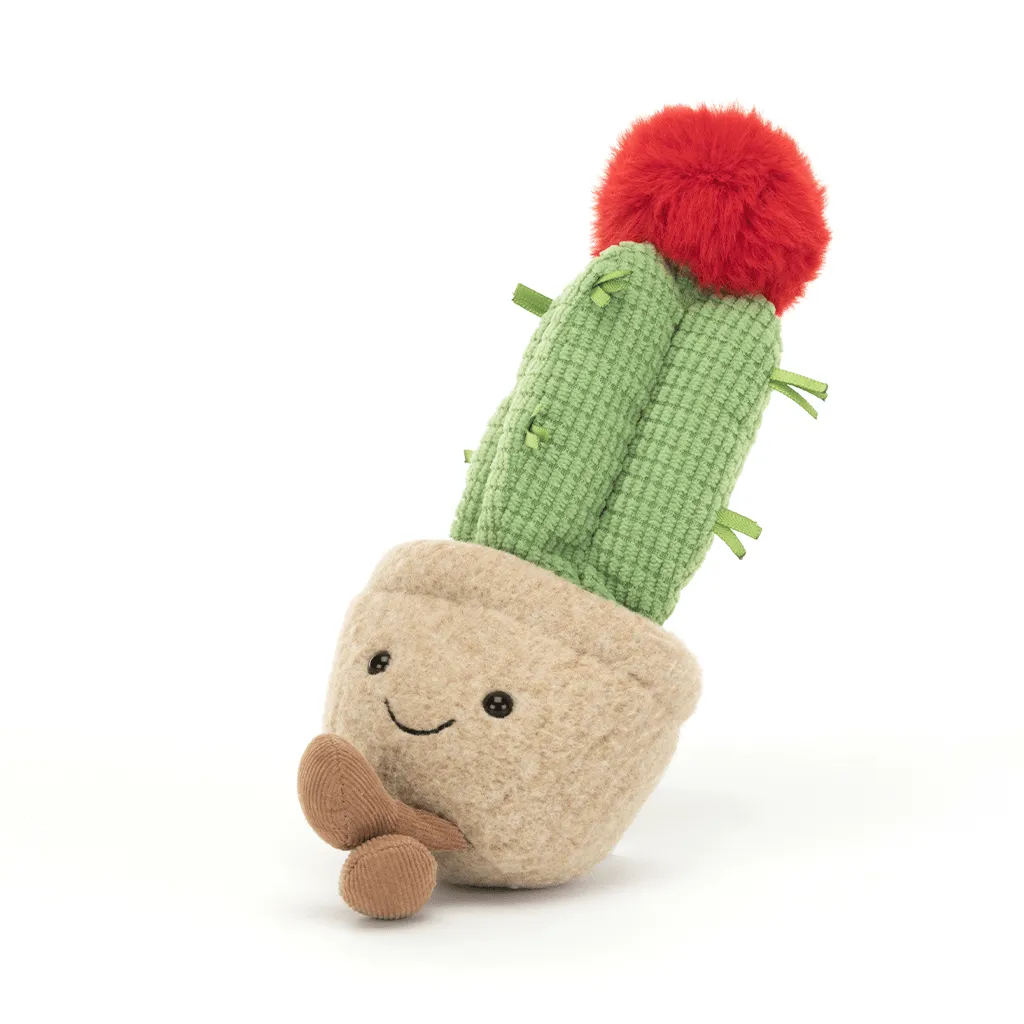 Amuseable Moon Cactus