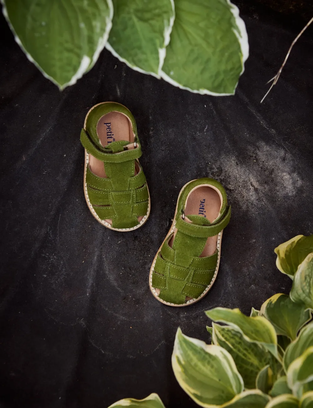 Classic Sandal - Grass